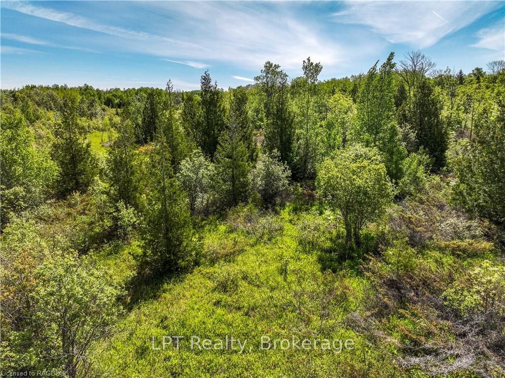 Lot 39 Bartley Drive Property Photo 10