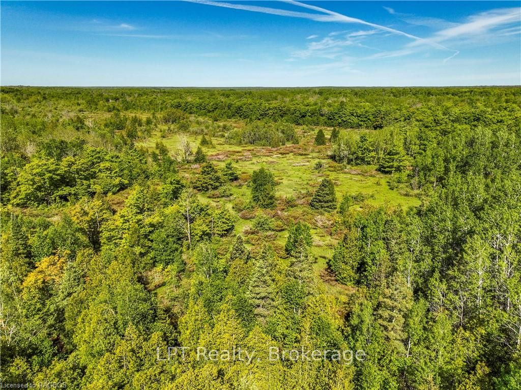 Lot 39 Bartley Drive Property Photo 14