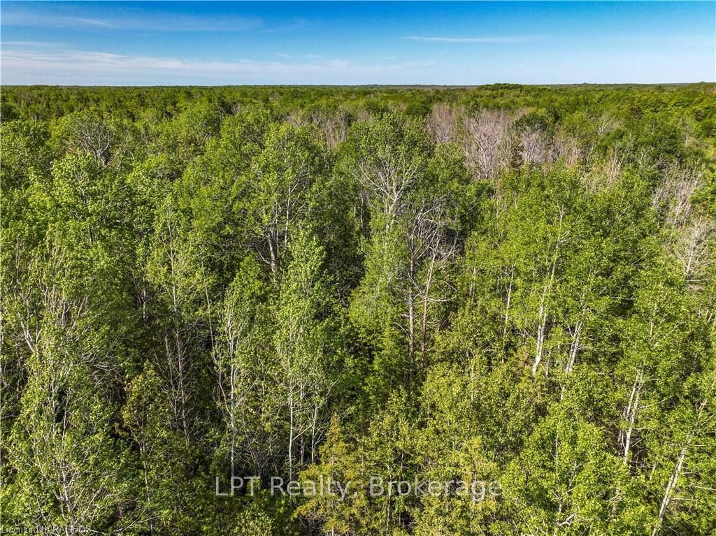 Lot 39 Bartley Drive Property Photo 15