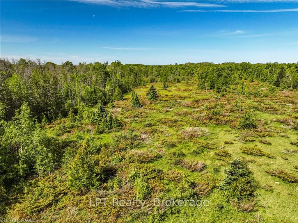Lot 39 Bartley Drive Property Photo 16
