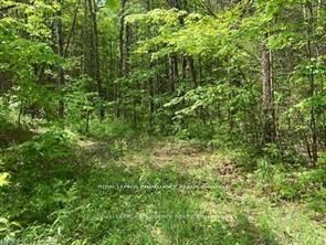 338 Glen Allen Road S Property Photo 10