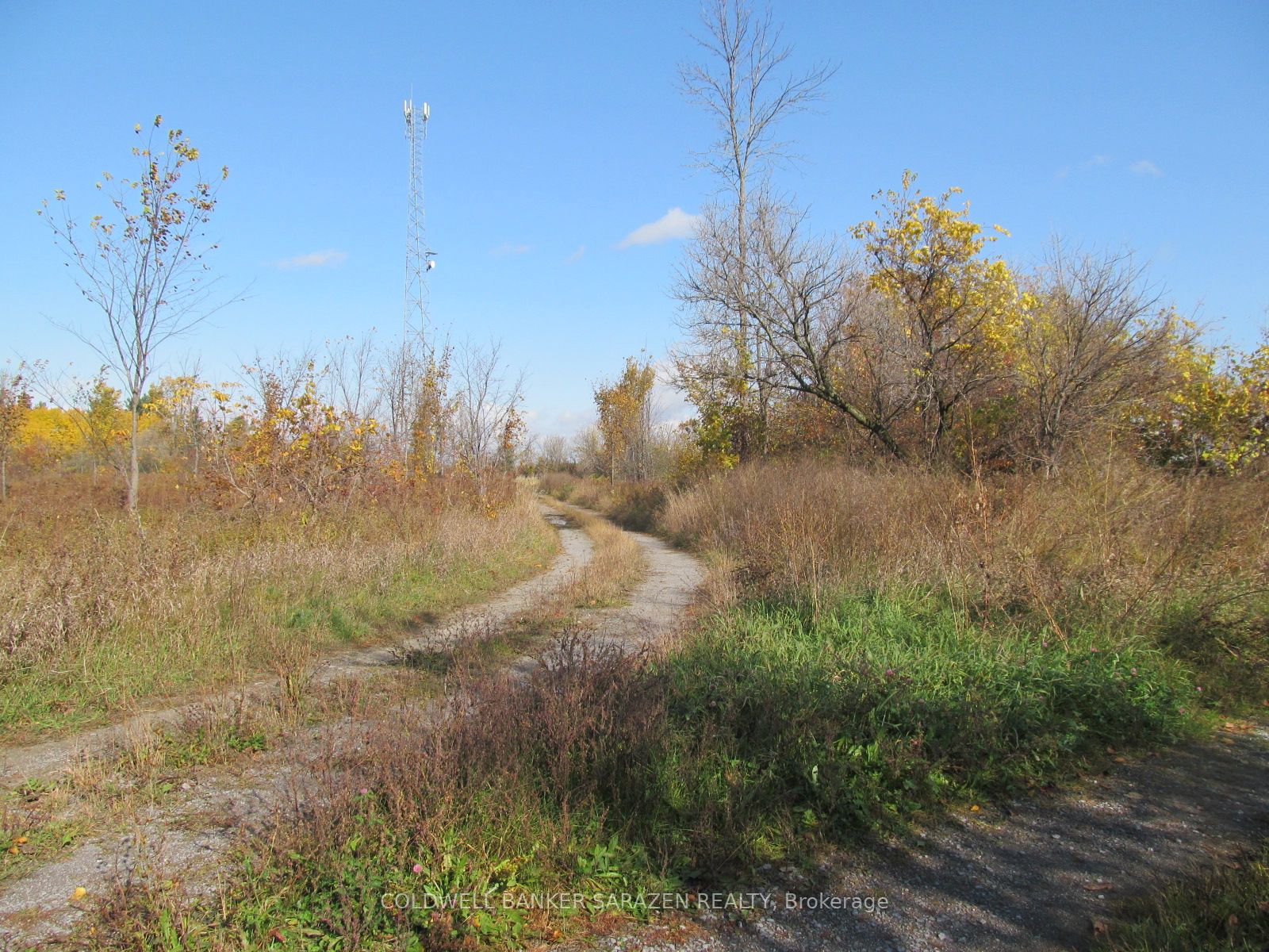 454 River Road Property Photo 5