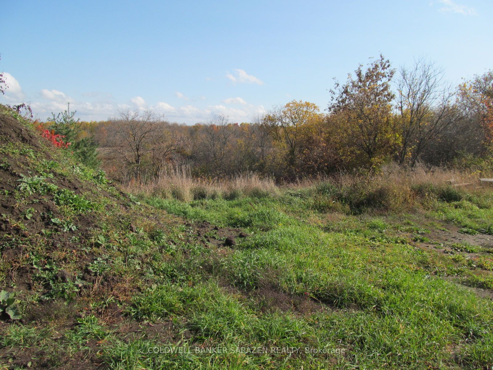 454 River Road Property Photo 7