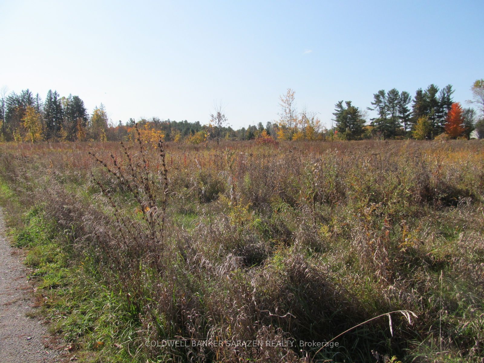 454 River Road Property Photo 10