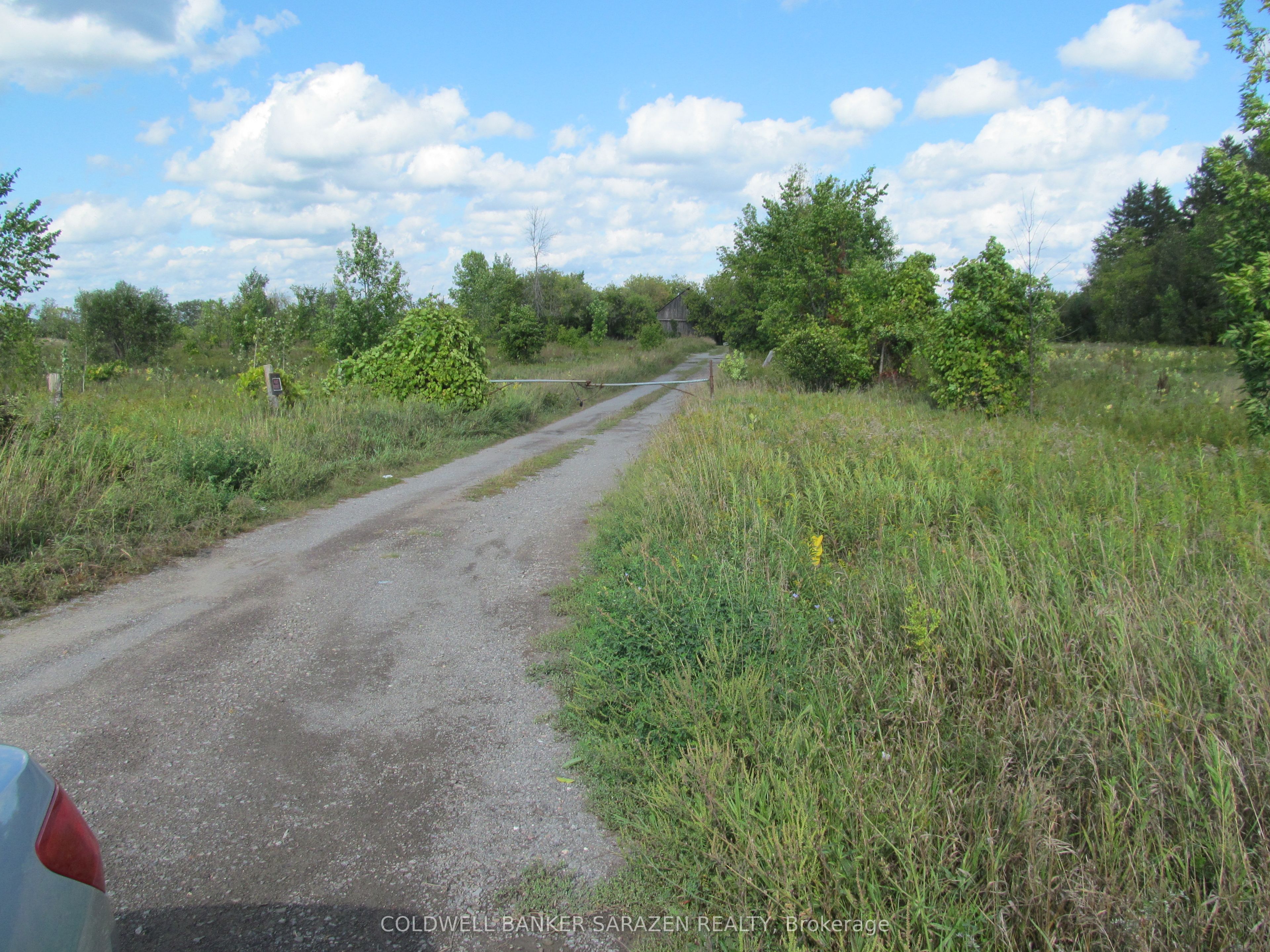 454 River Road Property Photo 15
