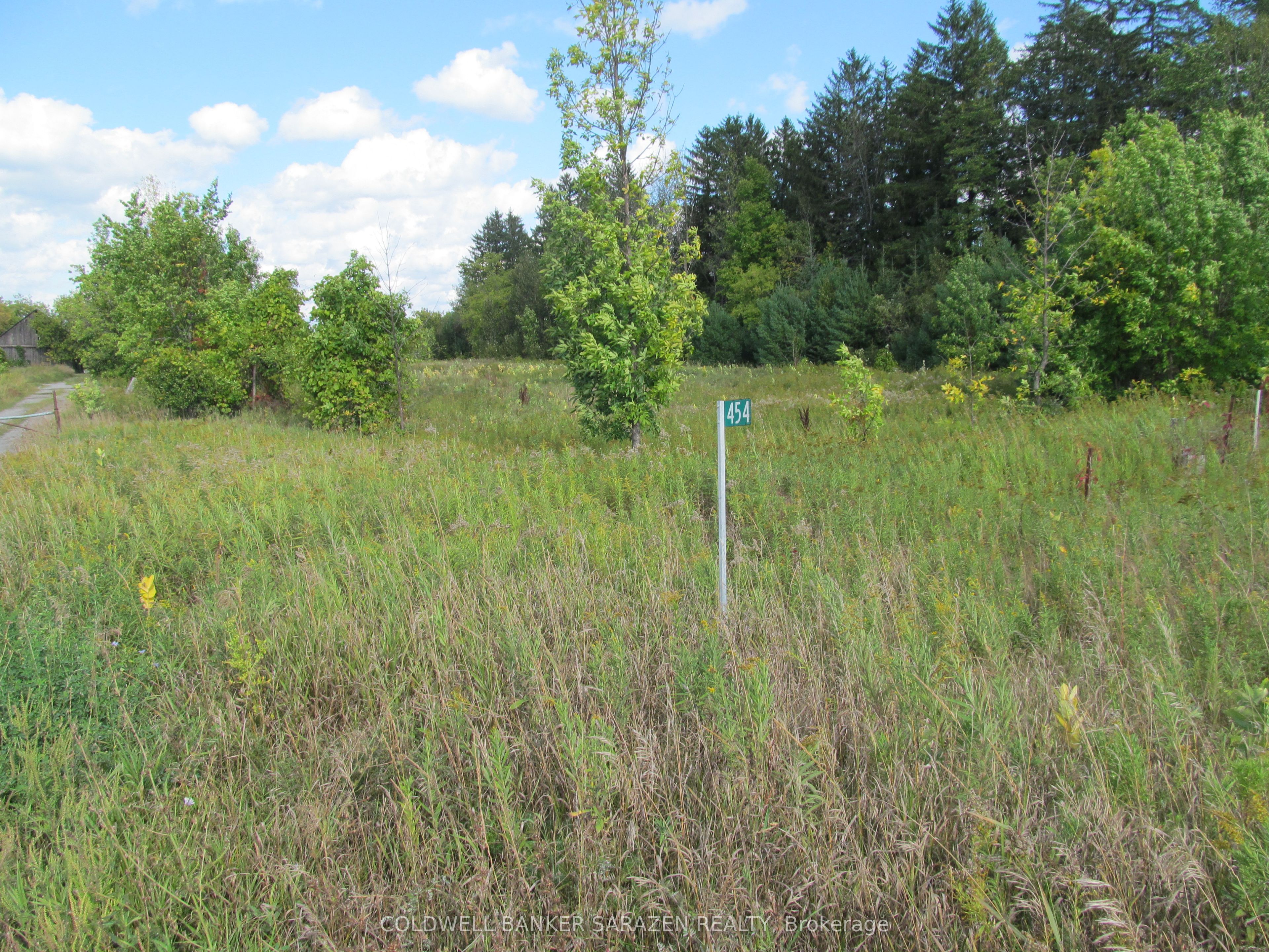 454 River Road Property Photo 16