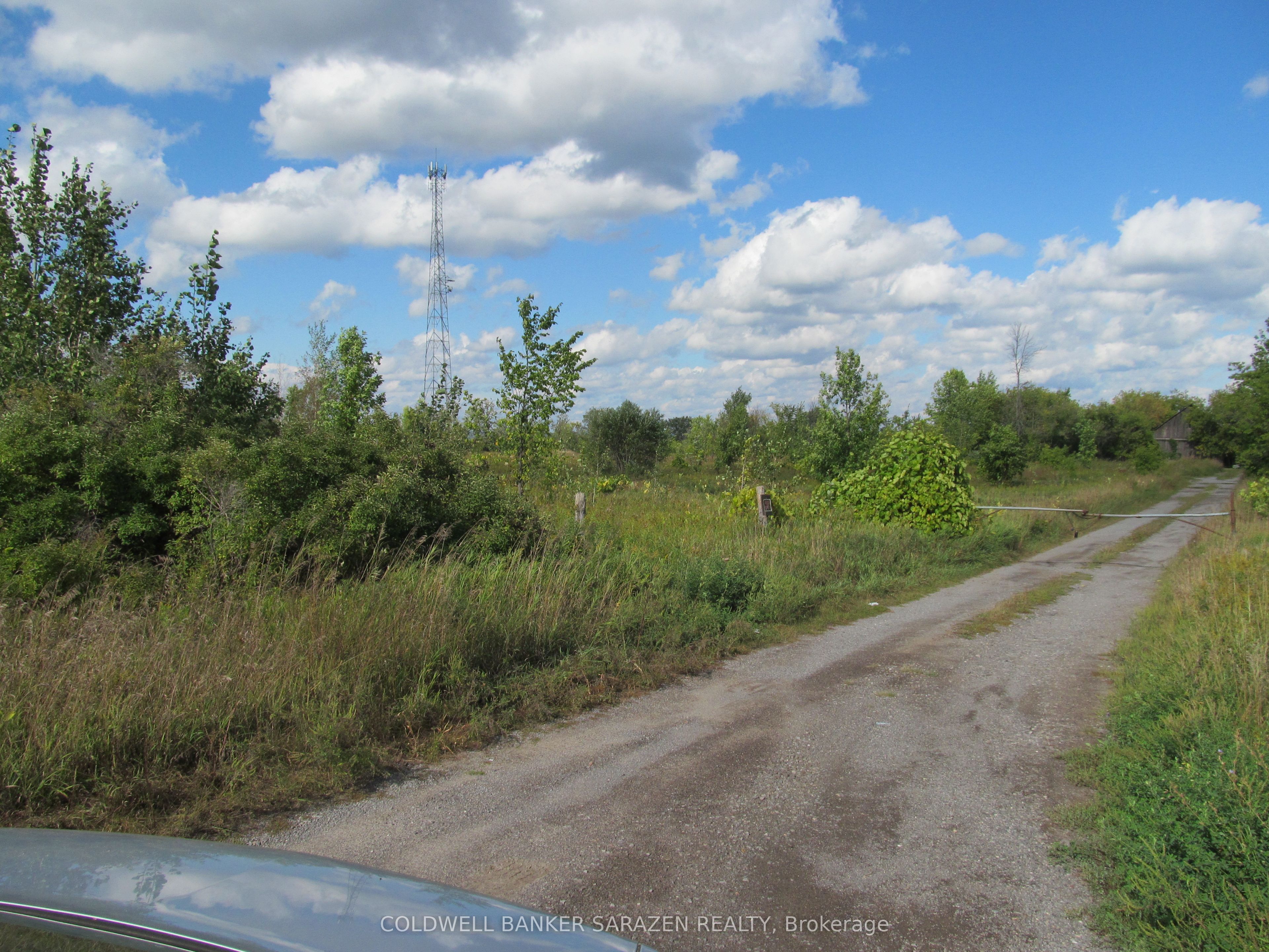 454 River Road Property Photo 17