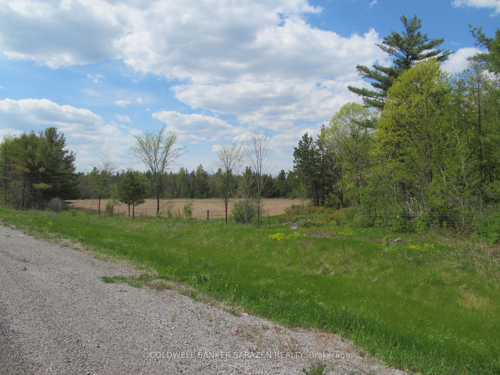 00 Scheel Drive Property Photo 10