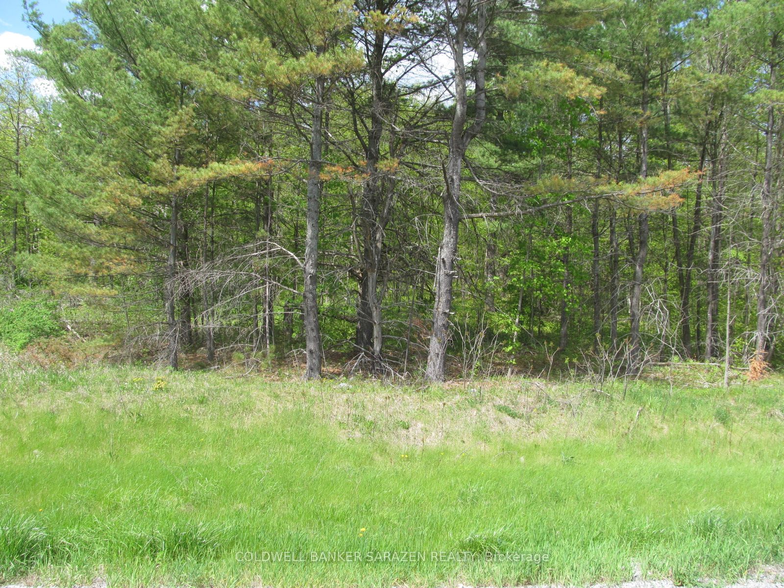 00 Scheel Drive Property Photo 11