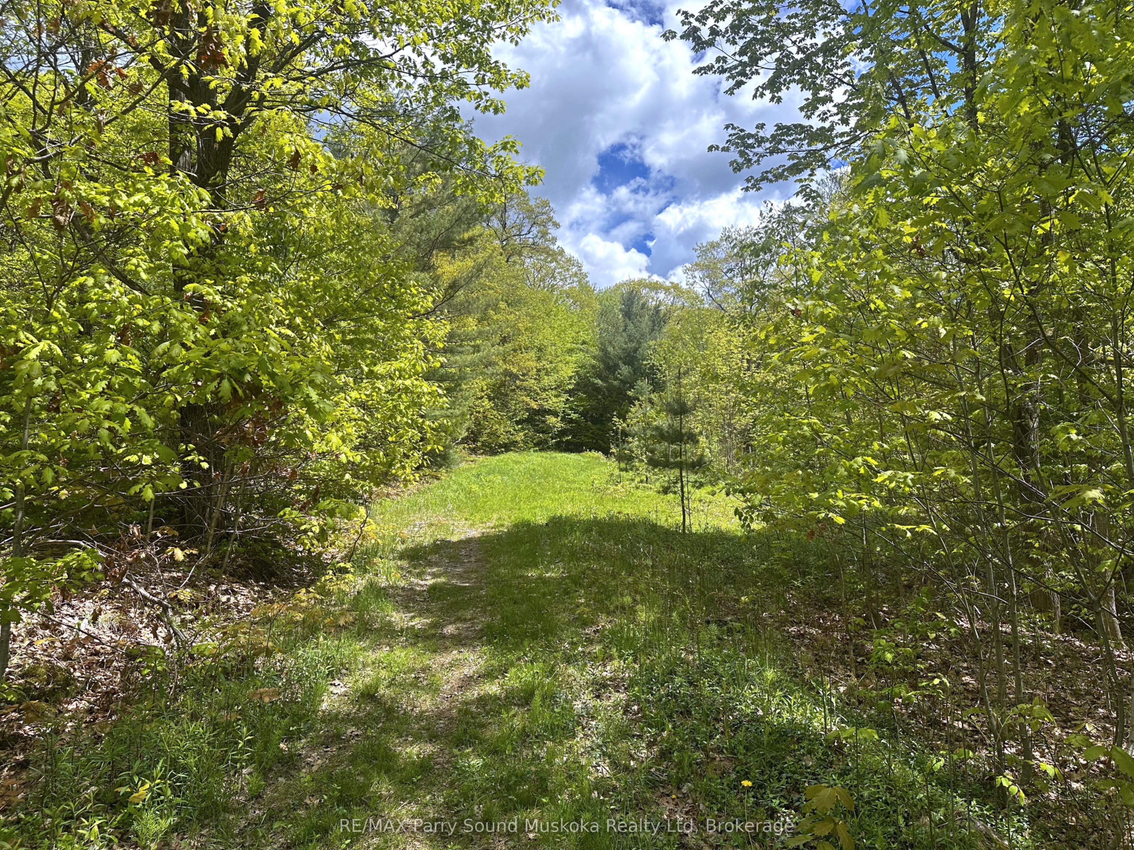 22a Lock Street Property Photo 5