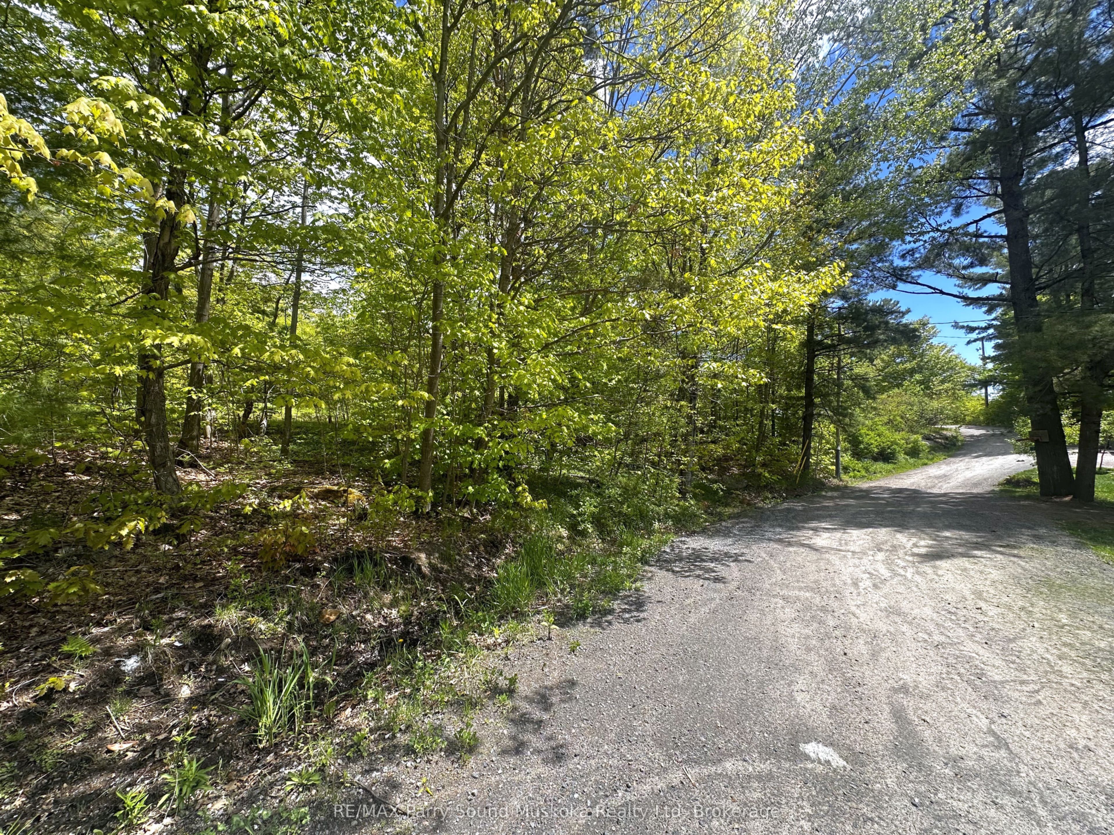 22a Lock Street Property Photo 6