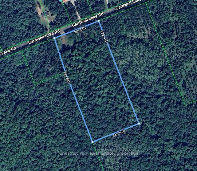 0 Cardwell Lake Road Property Photo 2