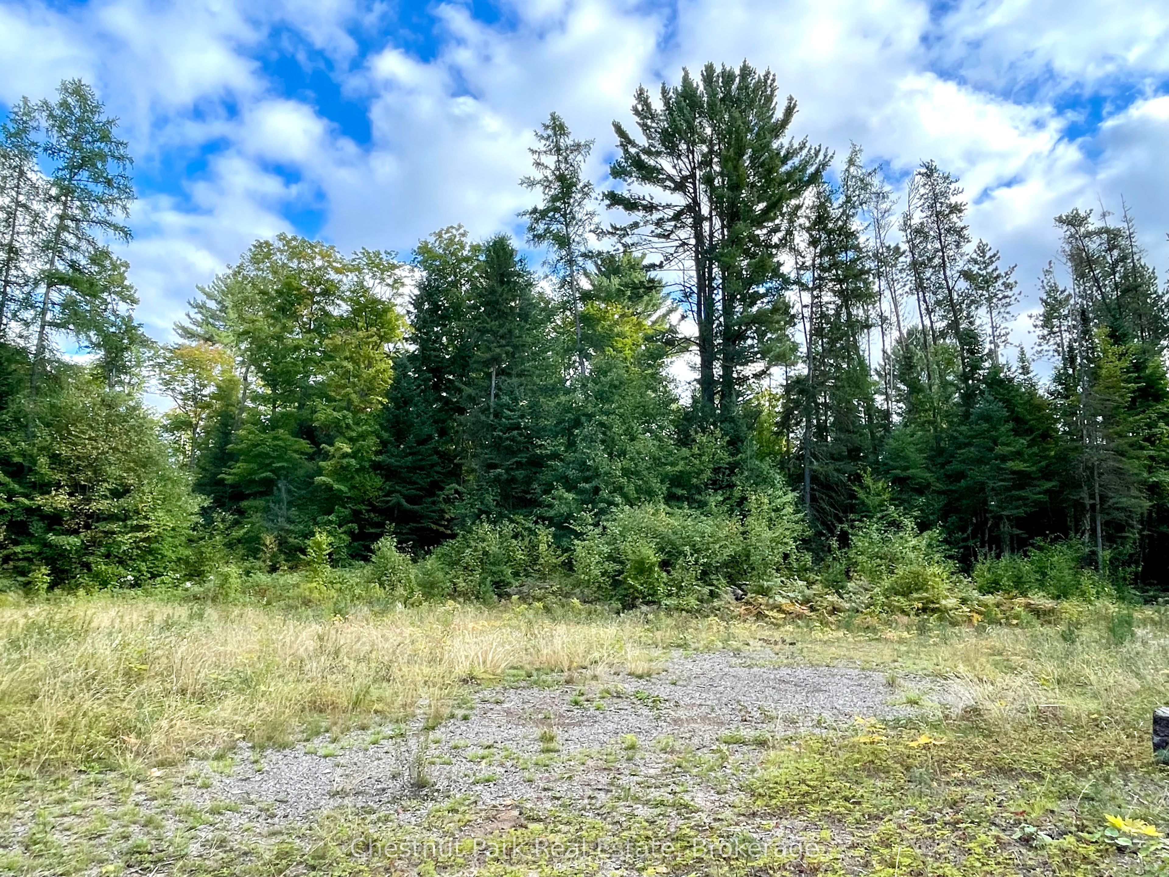0 Cardwell Lake Road Property Photo 15