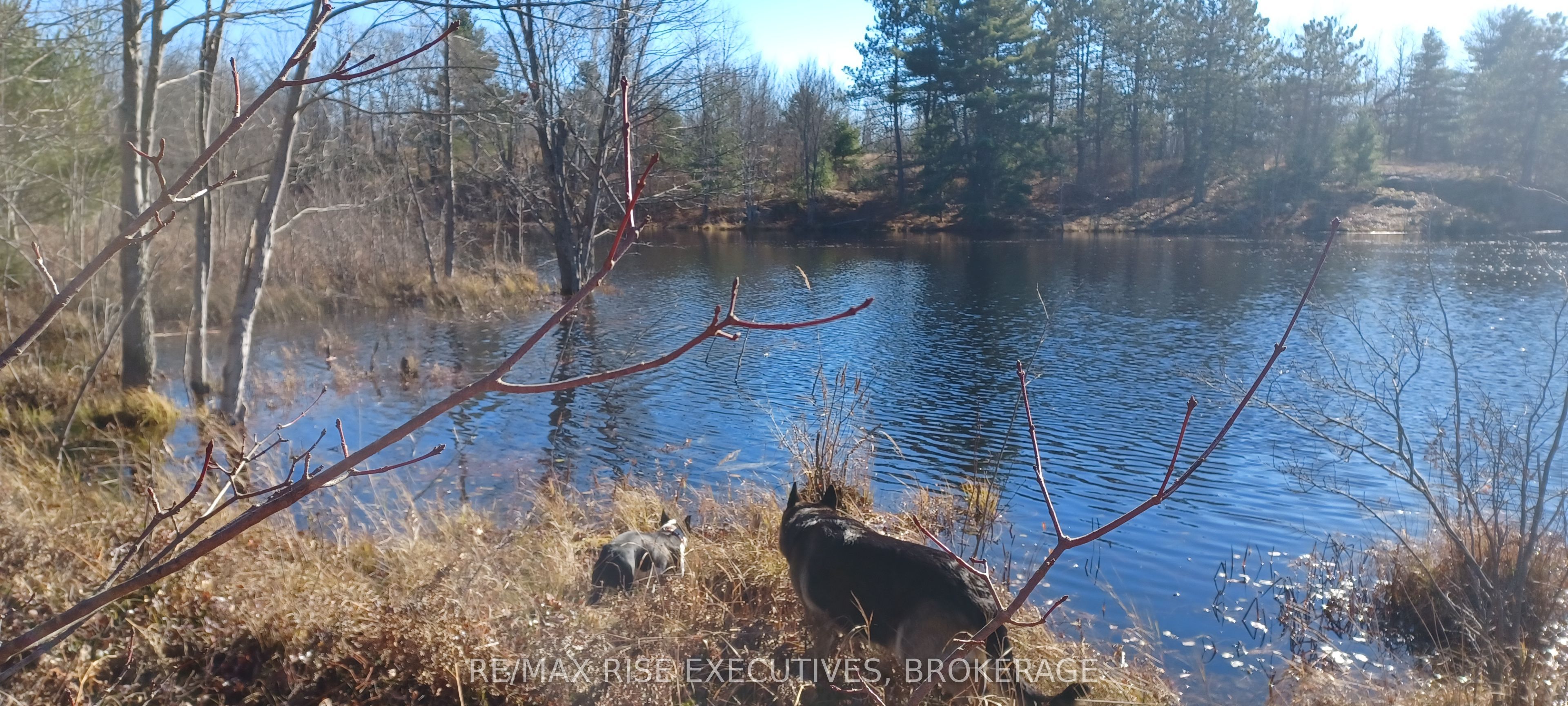 Kaladar Con 9 Lt 21 Property Photo 3