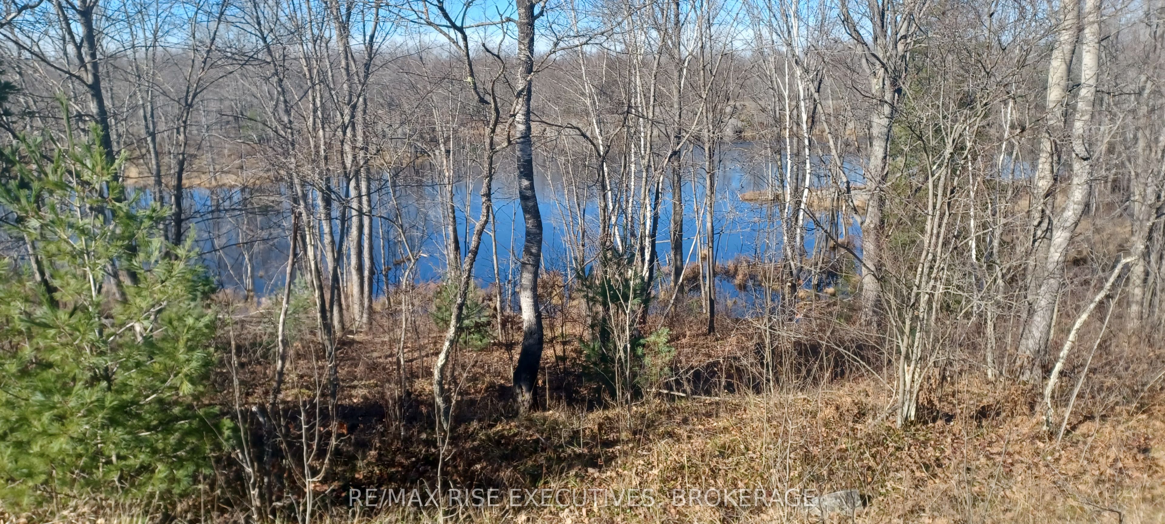 Kaladar Con 9 Lt 21 Property Photo 4