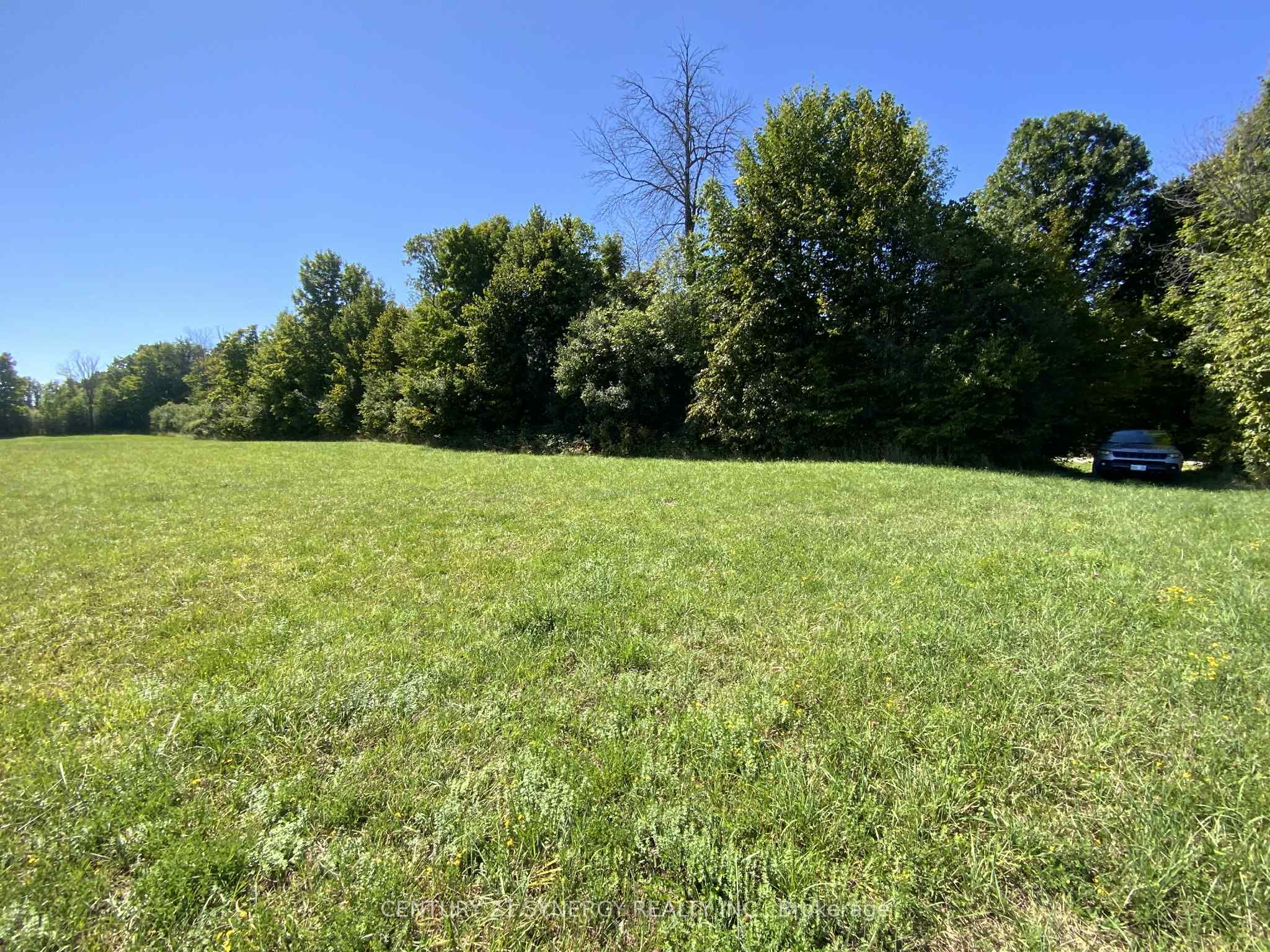 00 Lot 1 Houston Road Property Photo 1