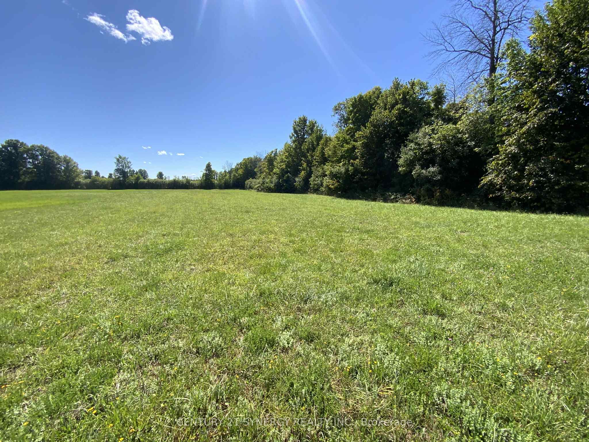 00 Lot 1 Houston Road Property Photo 2