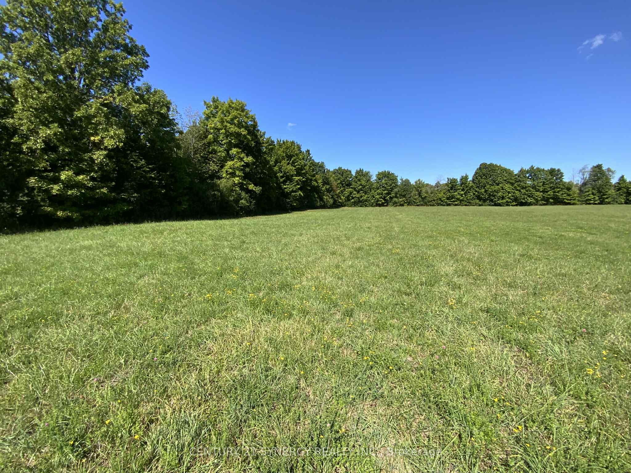 00 Lot 1 Houston Road Property Photo 3