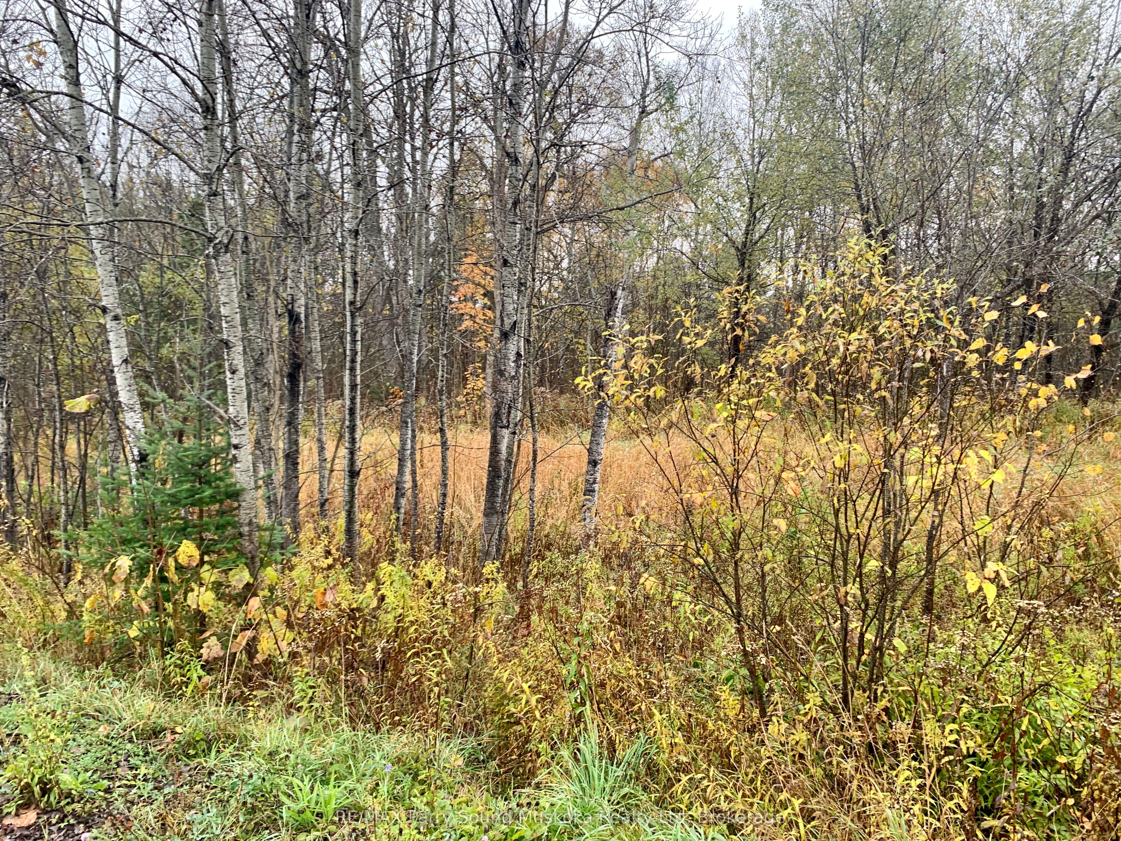 Lot 1 Moore Drive Property Photo 3