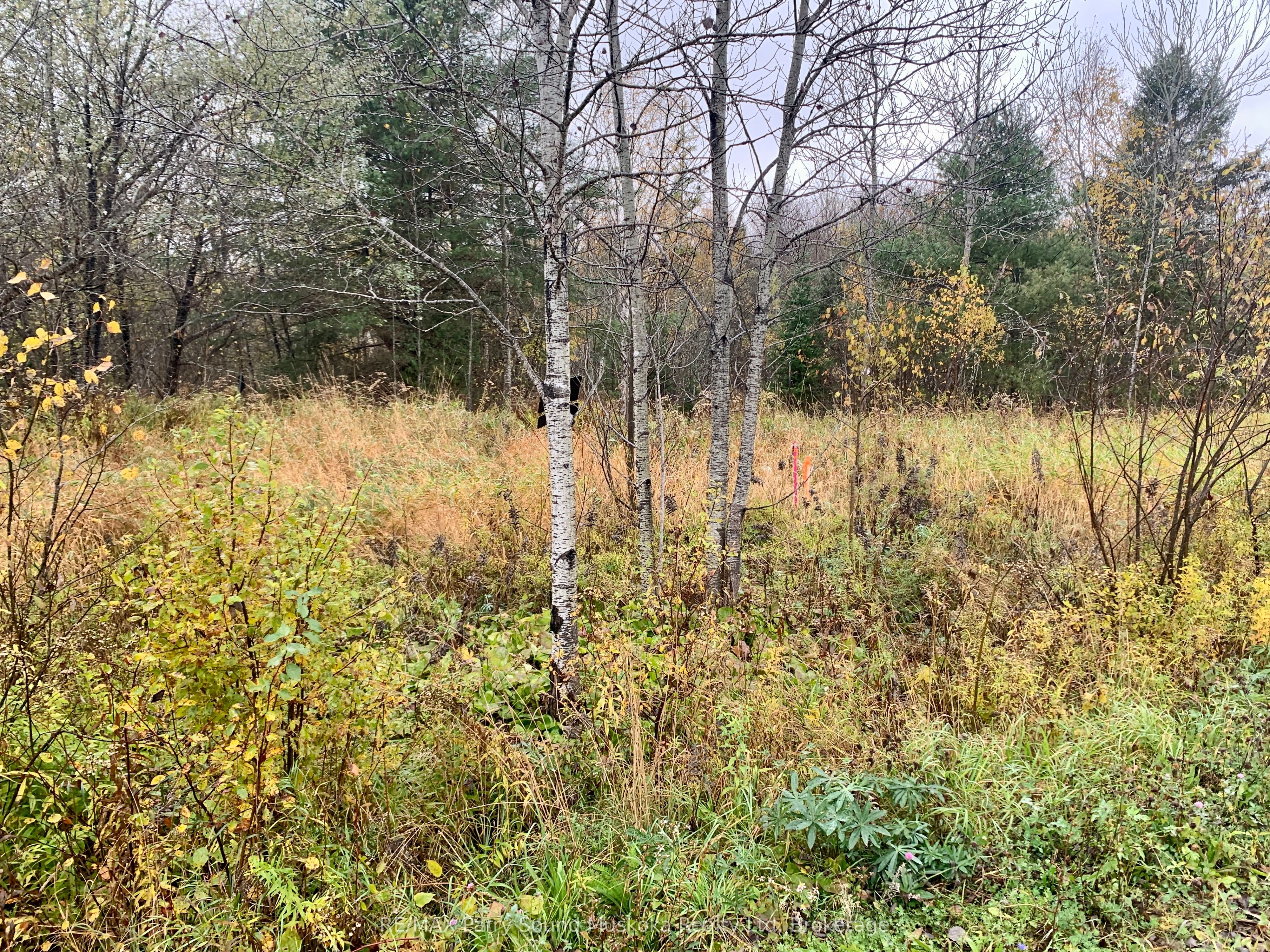 Lot 1 Moore Drive Property Photo 4