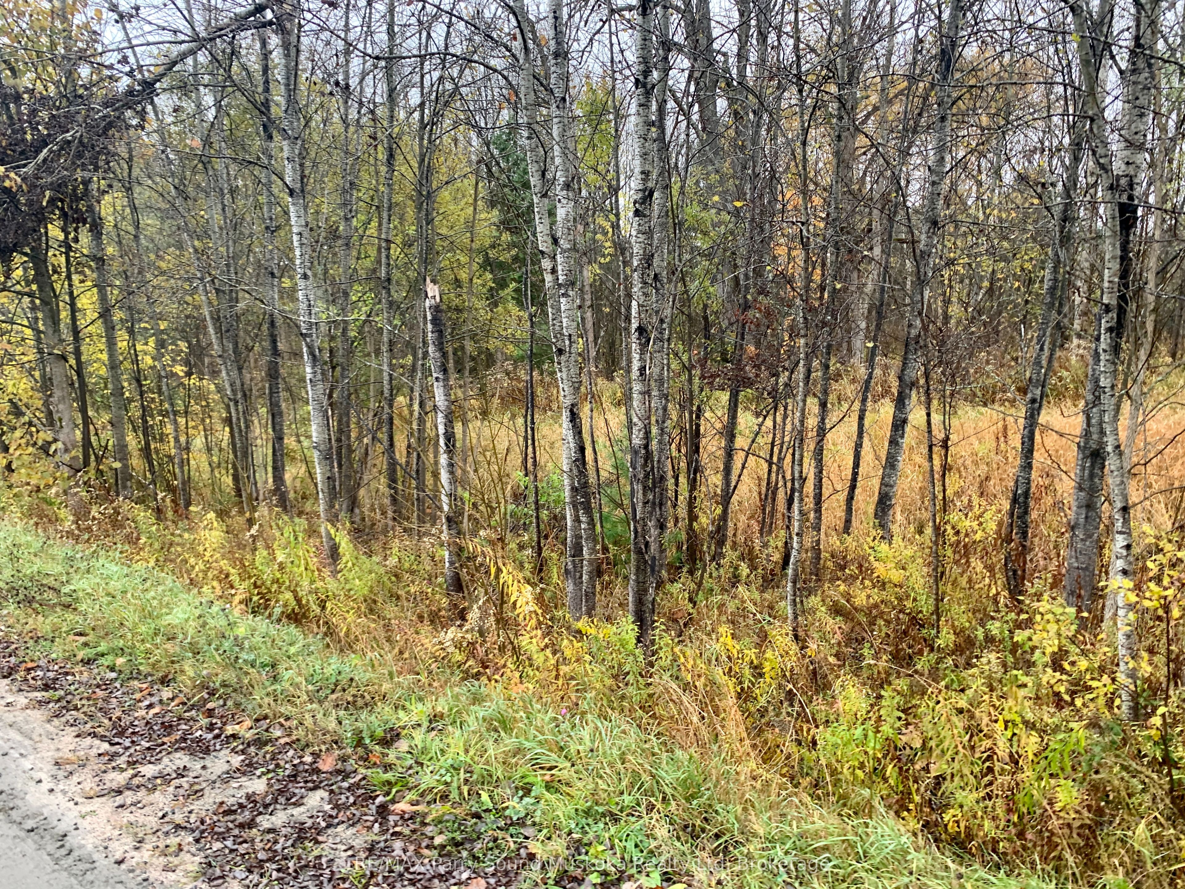 Lot 1 Moore Drive Property Photo 6