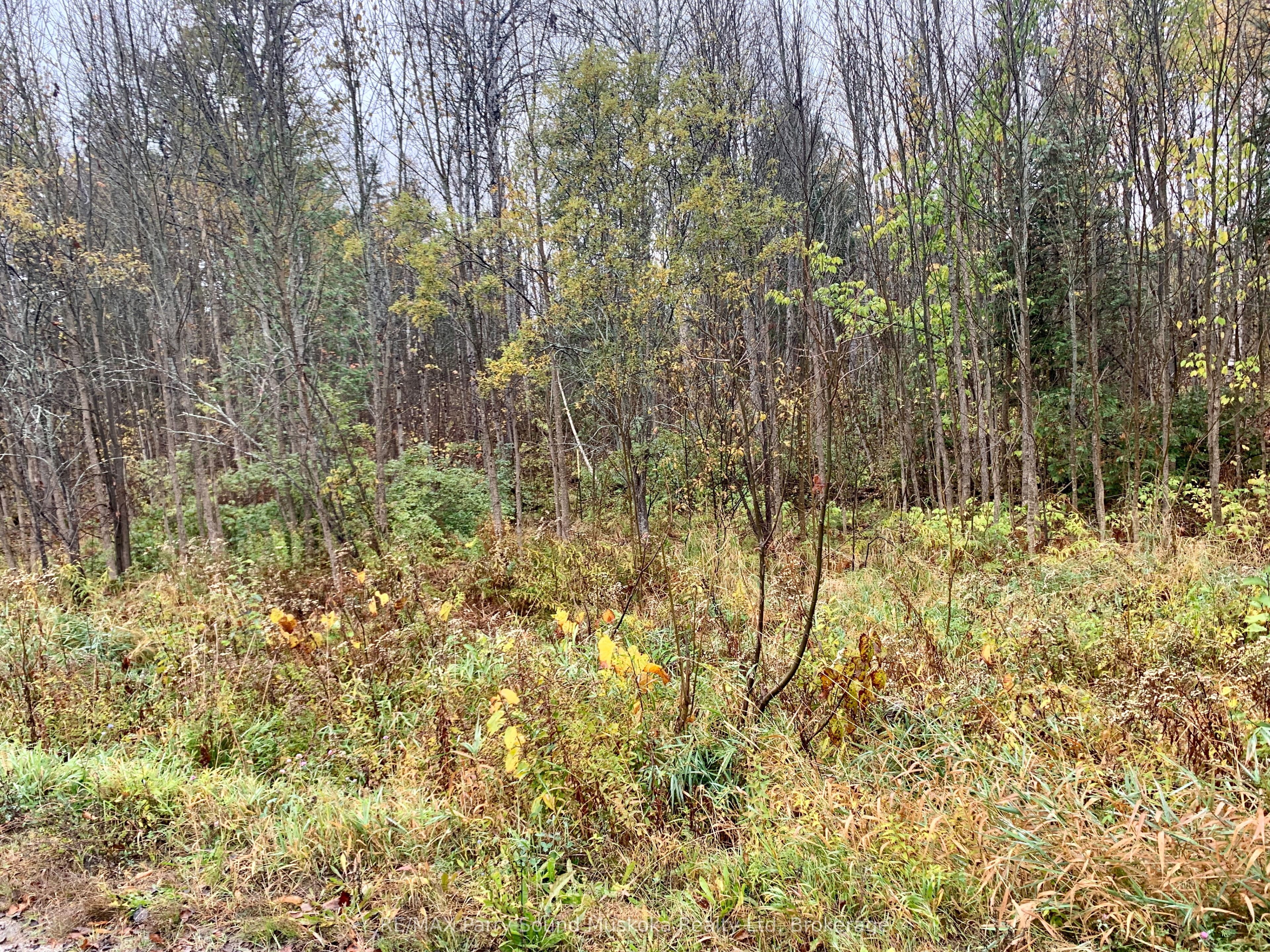Lot 1 Moore Drive Property Photo 9