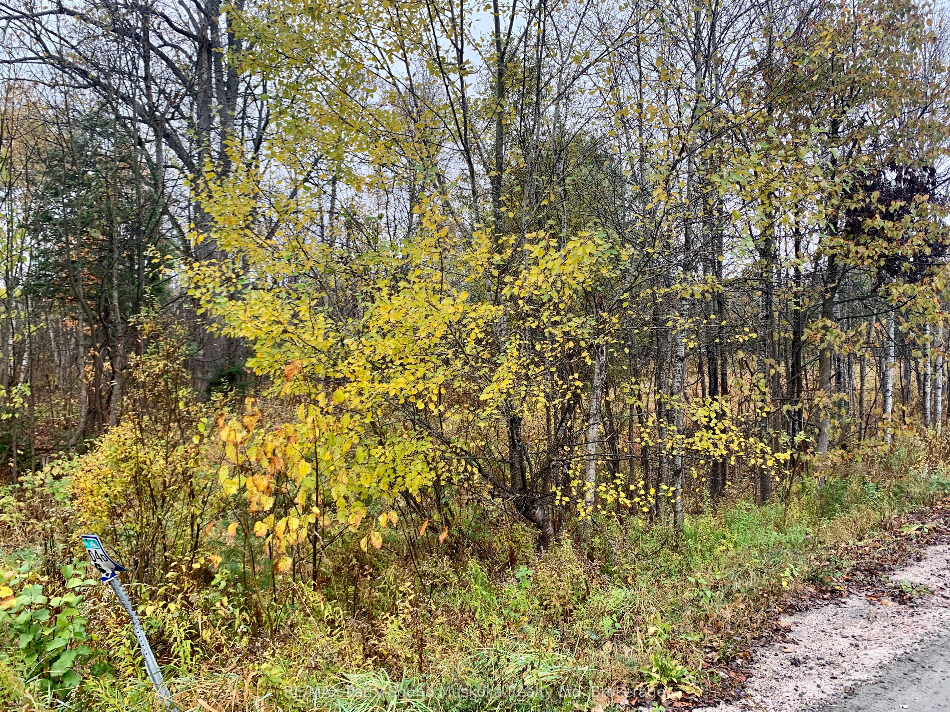 Lot 1 Moore Drive Property Photo 10