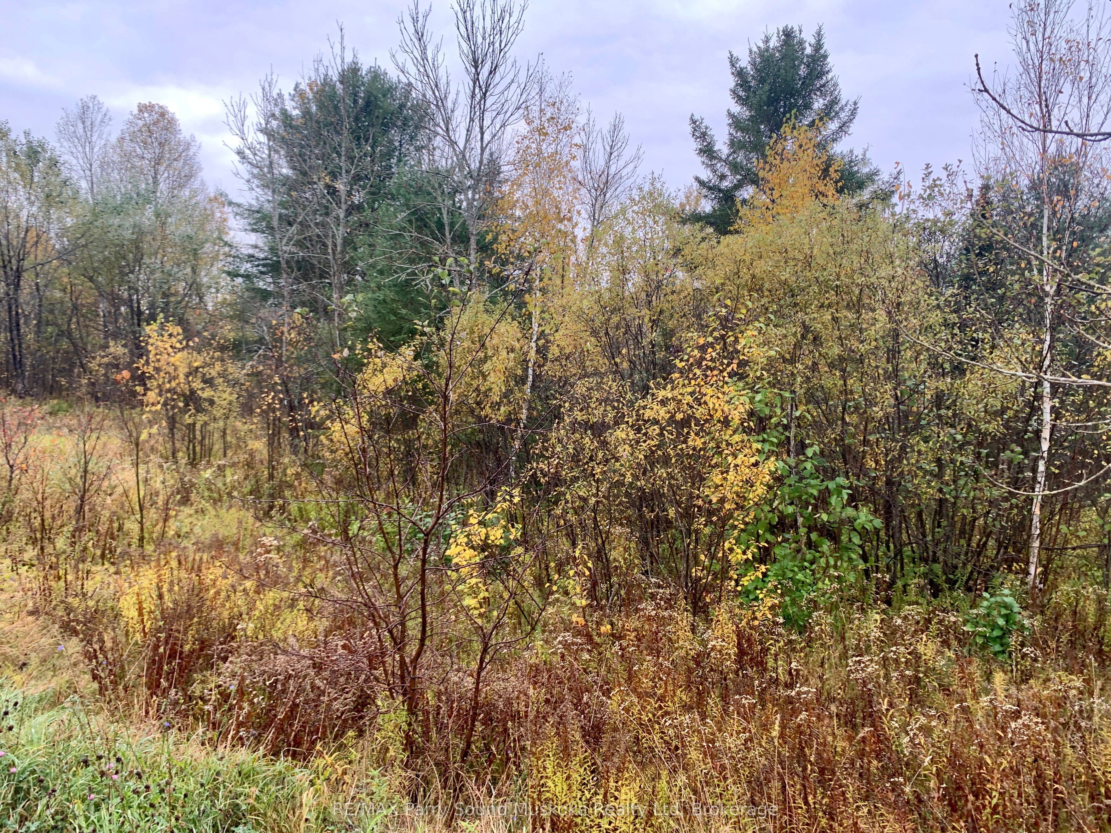 Lot 1 Moore Drive Property Photo 13
