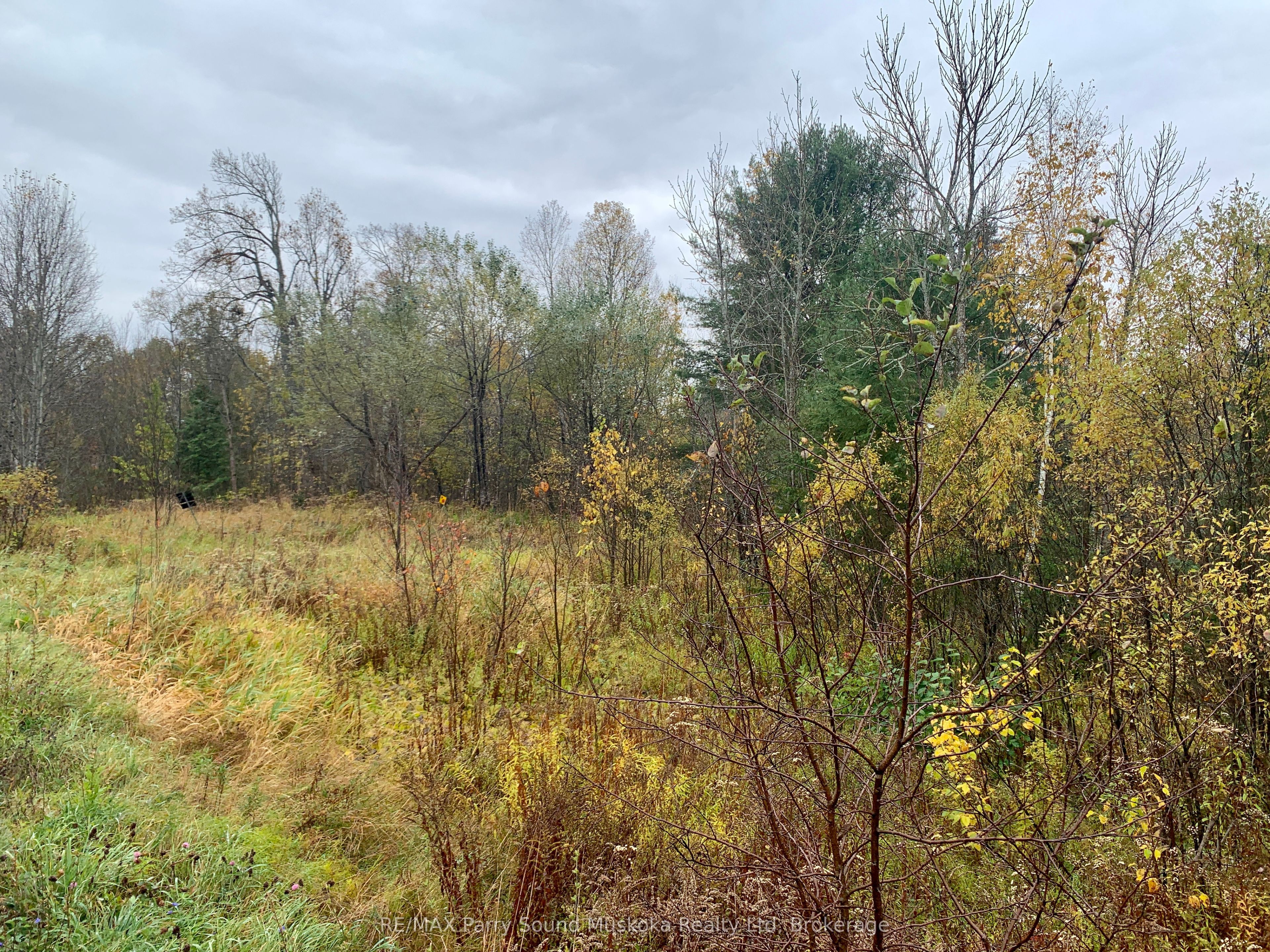 Lot 1 Moore Drive Property Photo 14