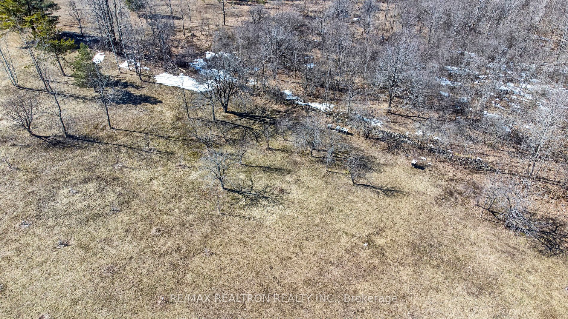 283 Bland Line Property Photo 7