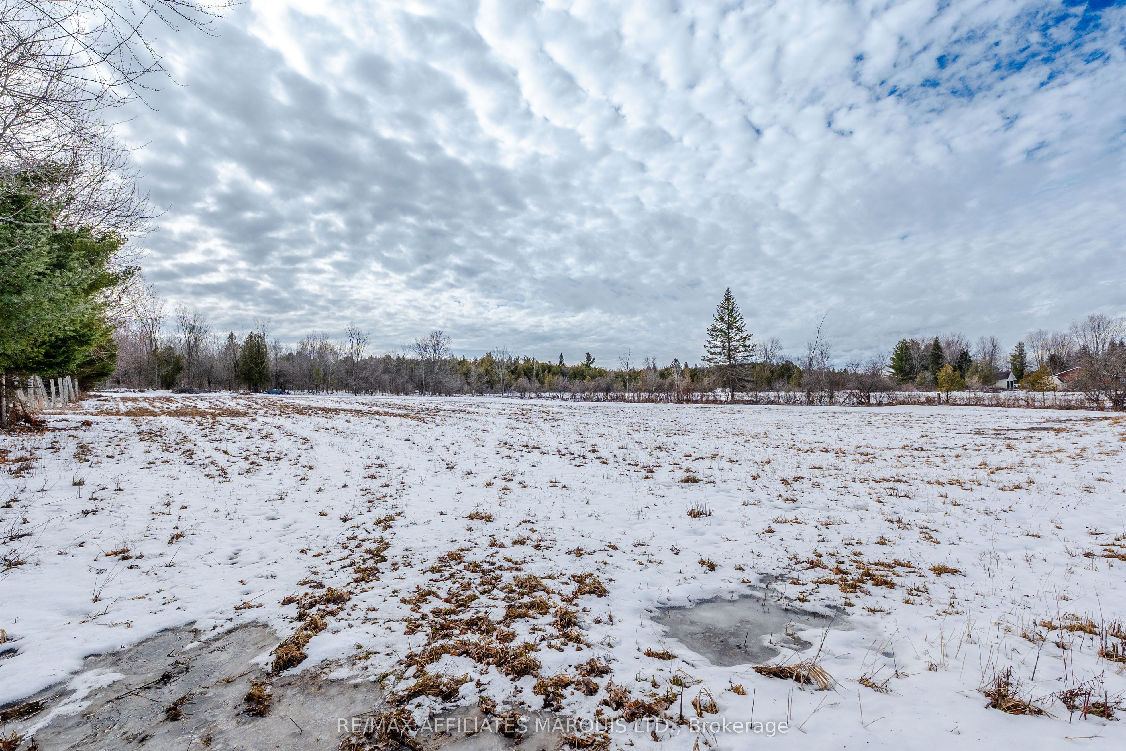 Lot Black River Road Property Photo 22