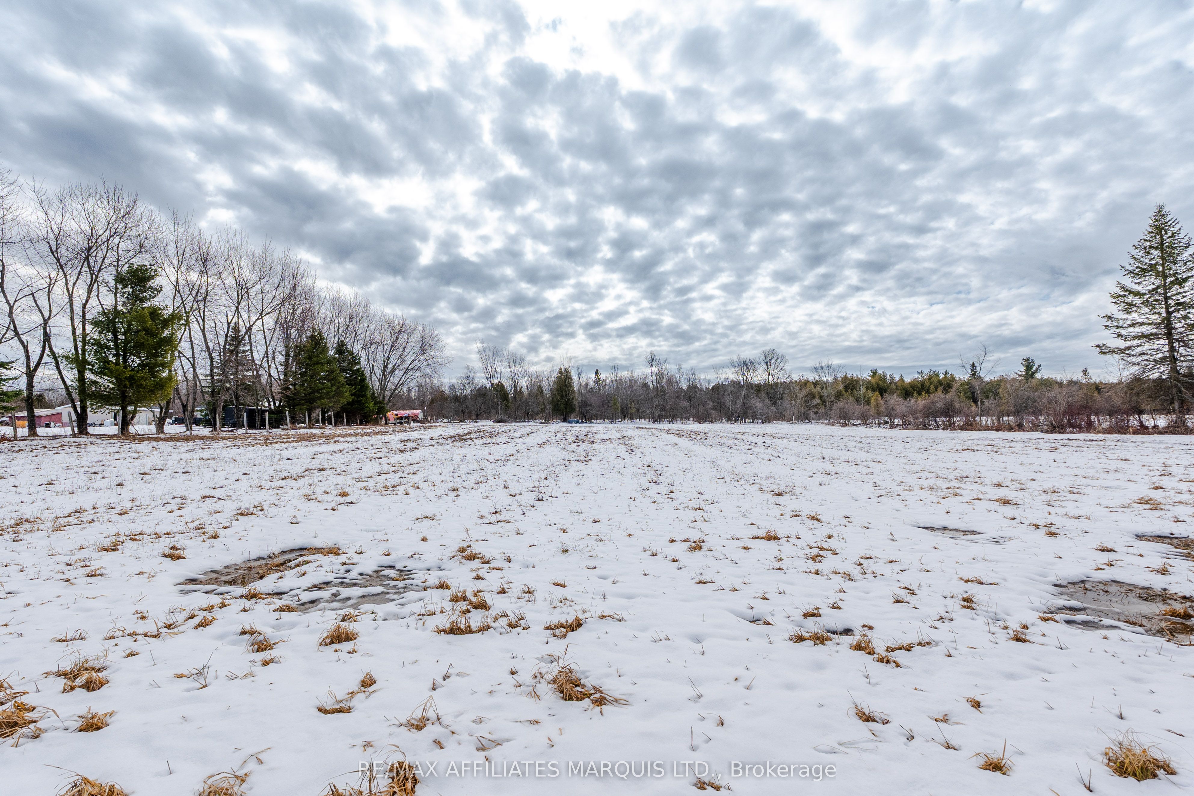 Lot Black River Road Property Photo 23