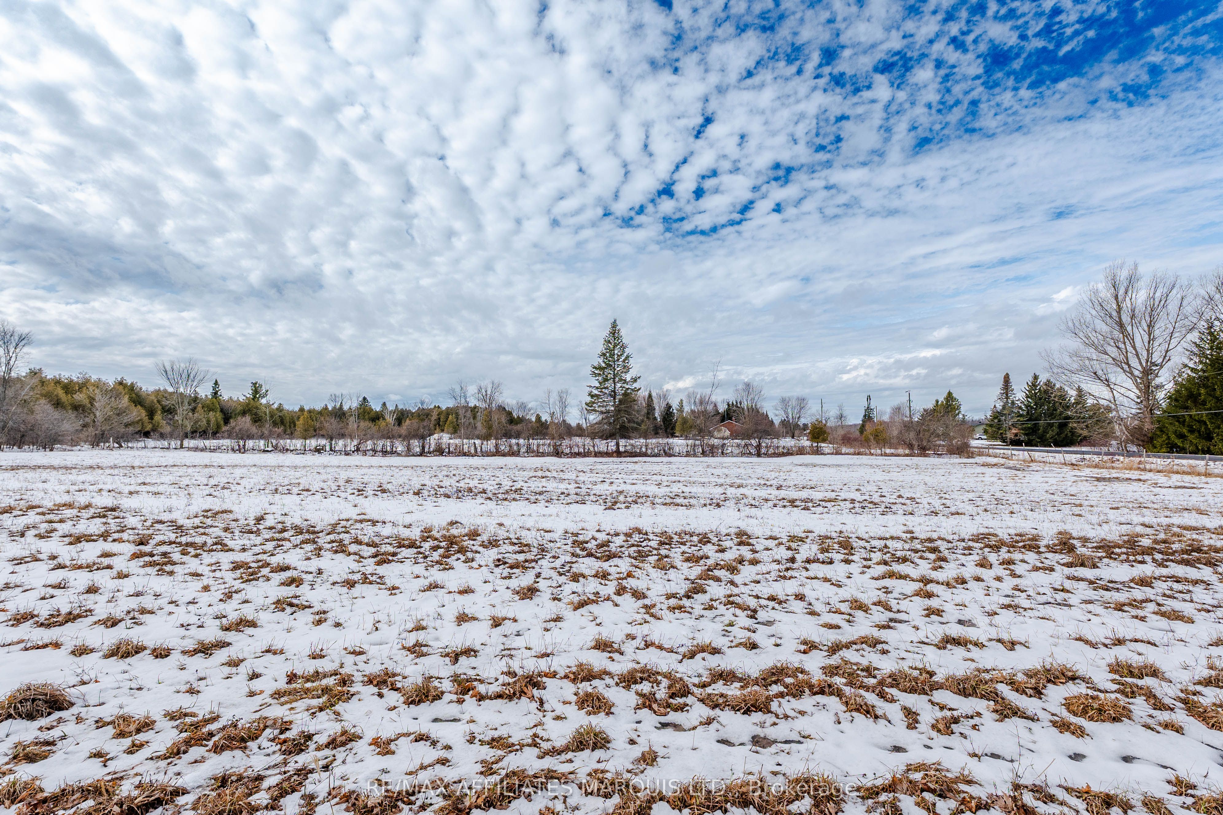Lot Black River Road Property Photo 24