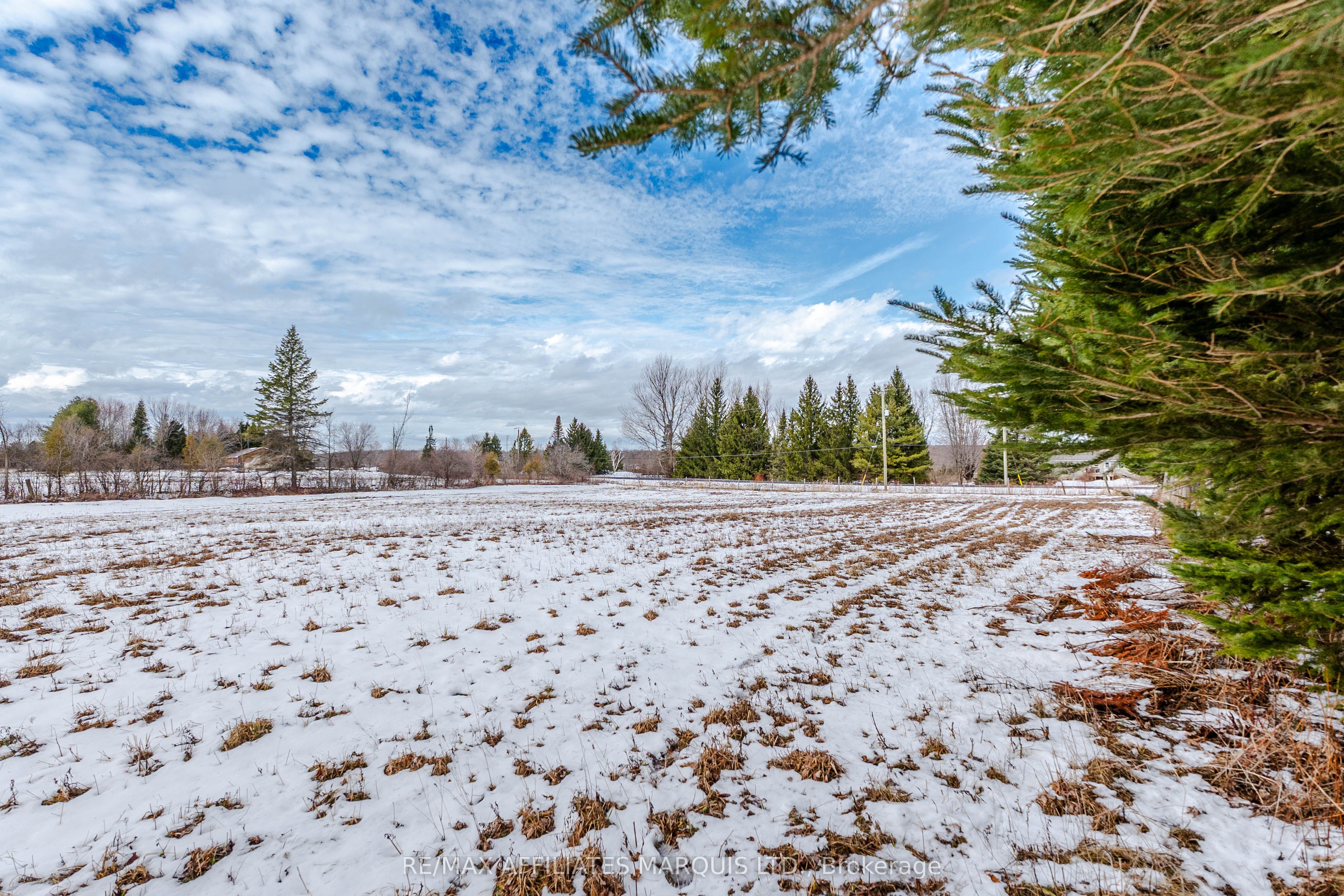 Lot Black River Road Property Photo 25