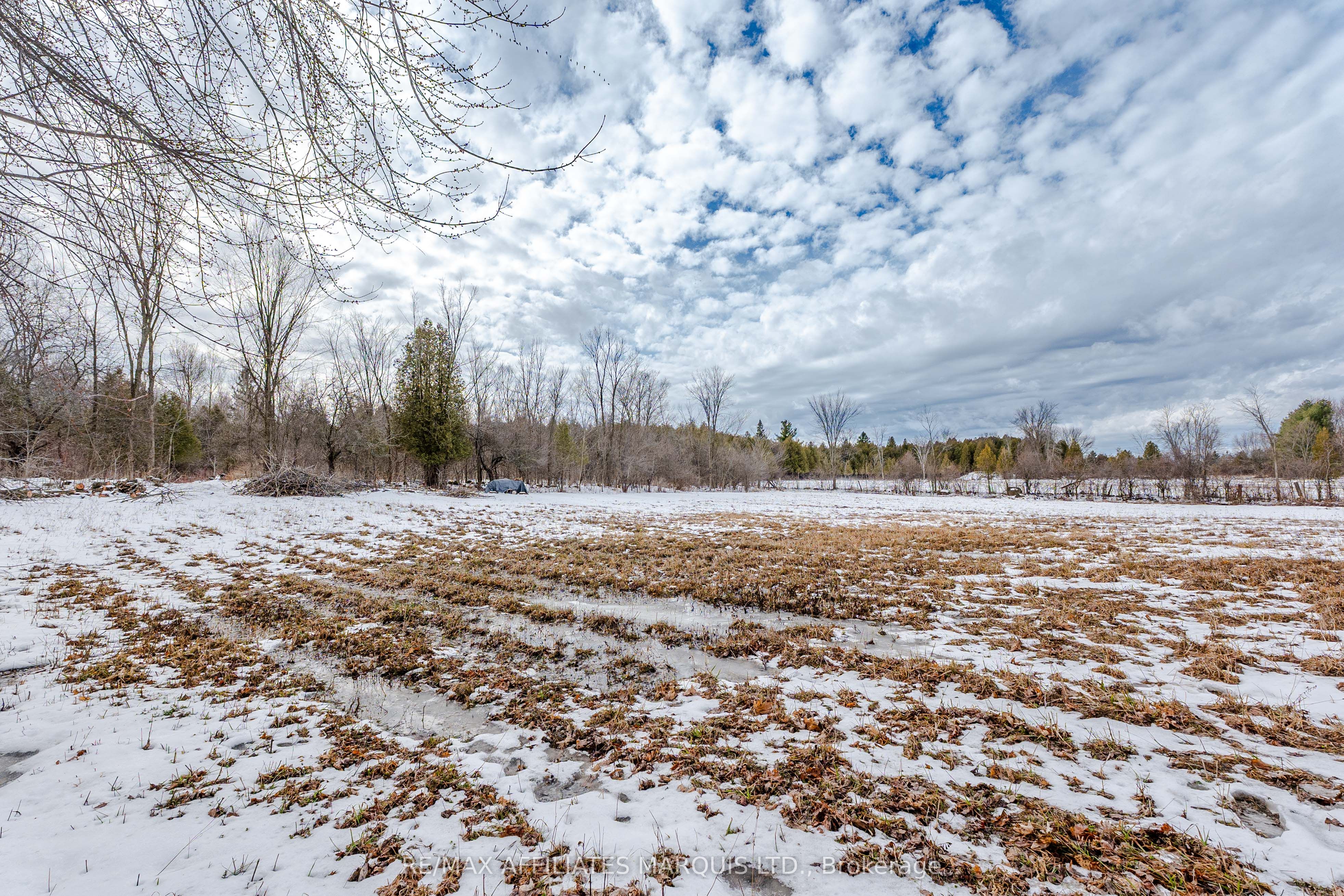 Lot Black River Road Property Photo 27
