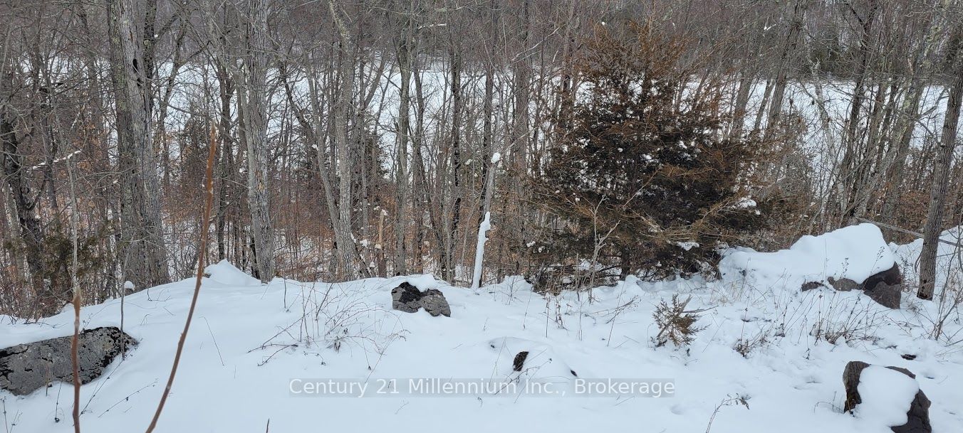 641 Lahey Road Property Photo 3