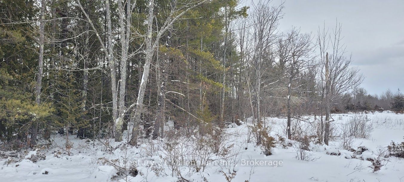 641 Lahey Road Property Photo 4