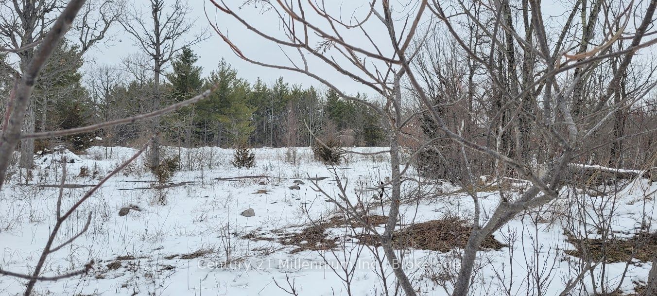 641 Lahey Road Property Photo 5