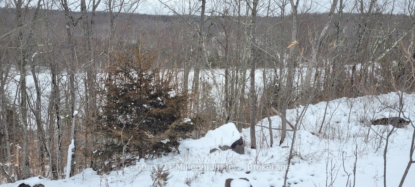 641 Lahey Road Property Photo 6