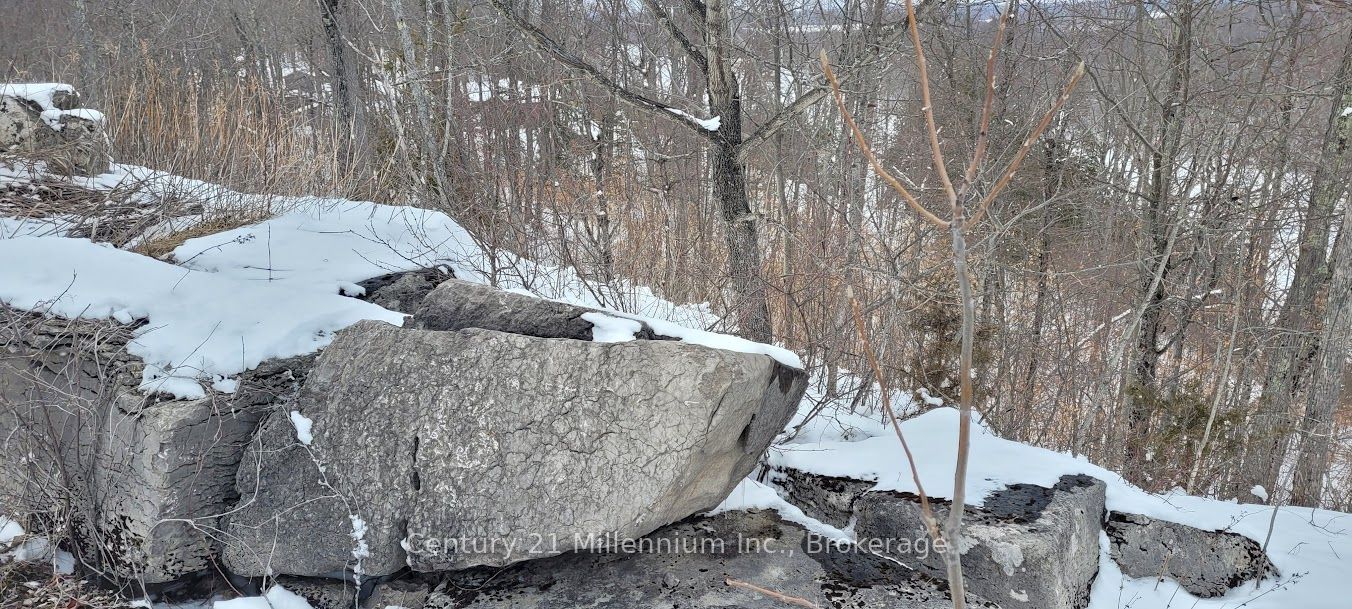 641 Lahey Road Property Photo 7