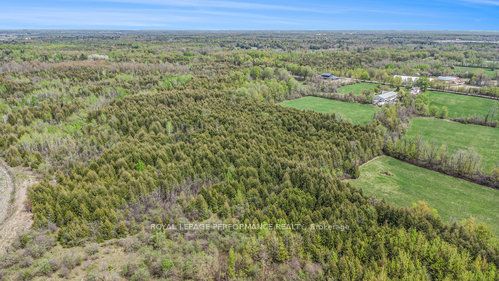7 Mcdonell Crescent Property Photo 16