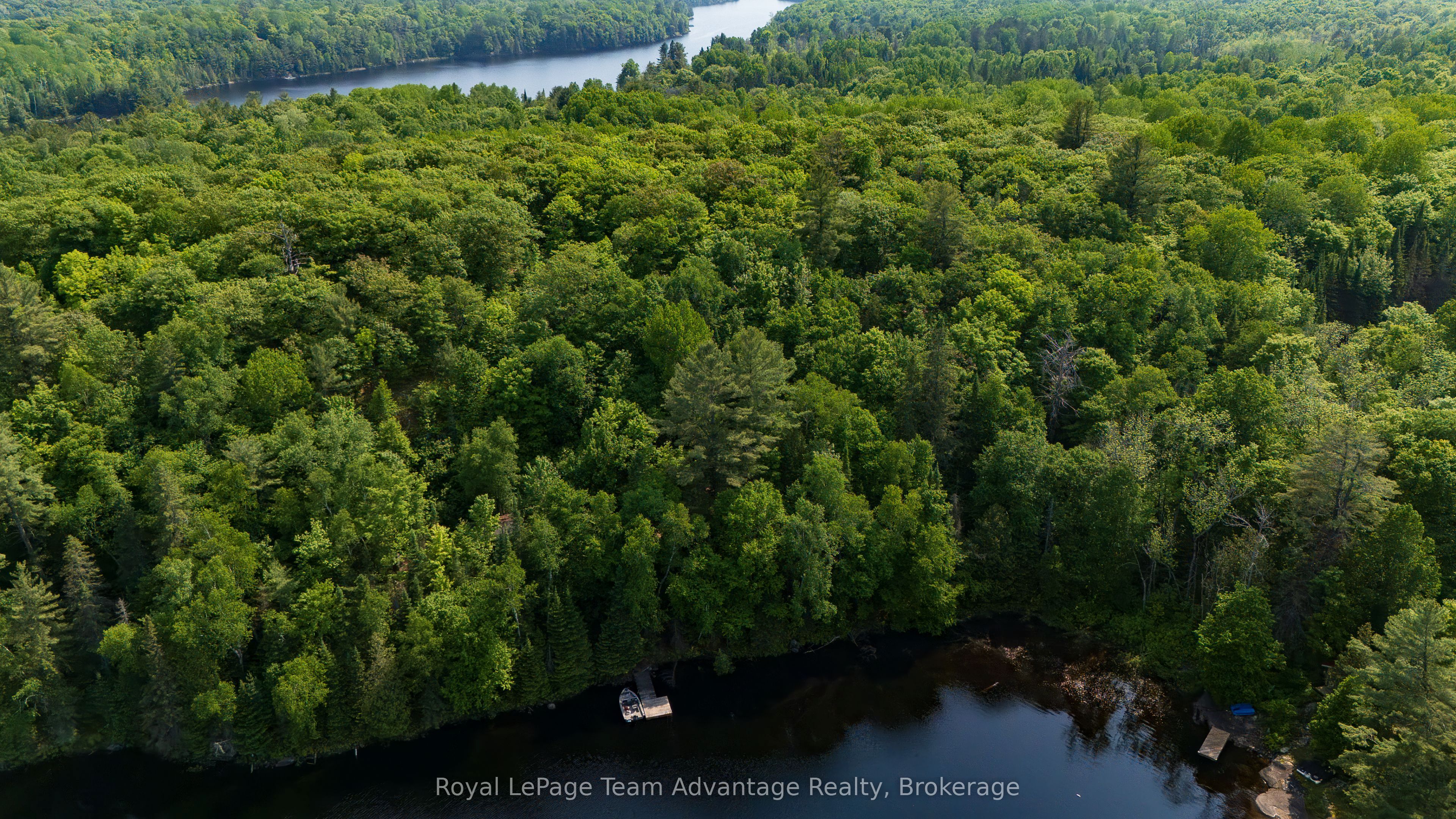 438 Shawanaga Lake Property Photo 9