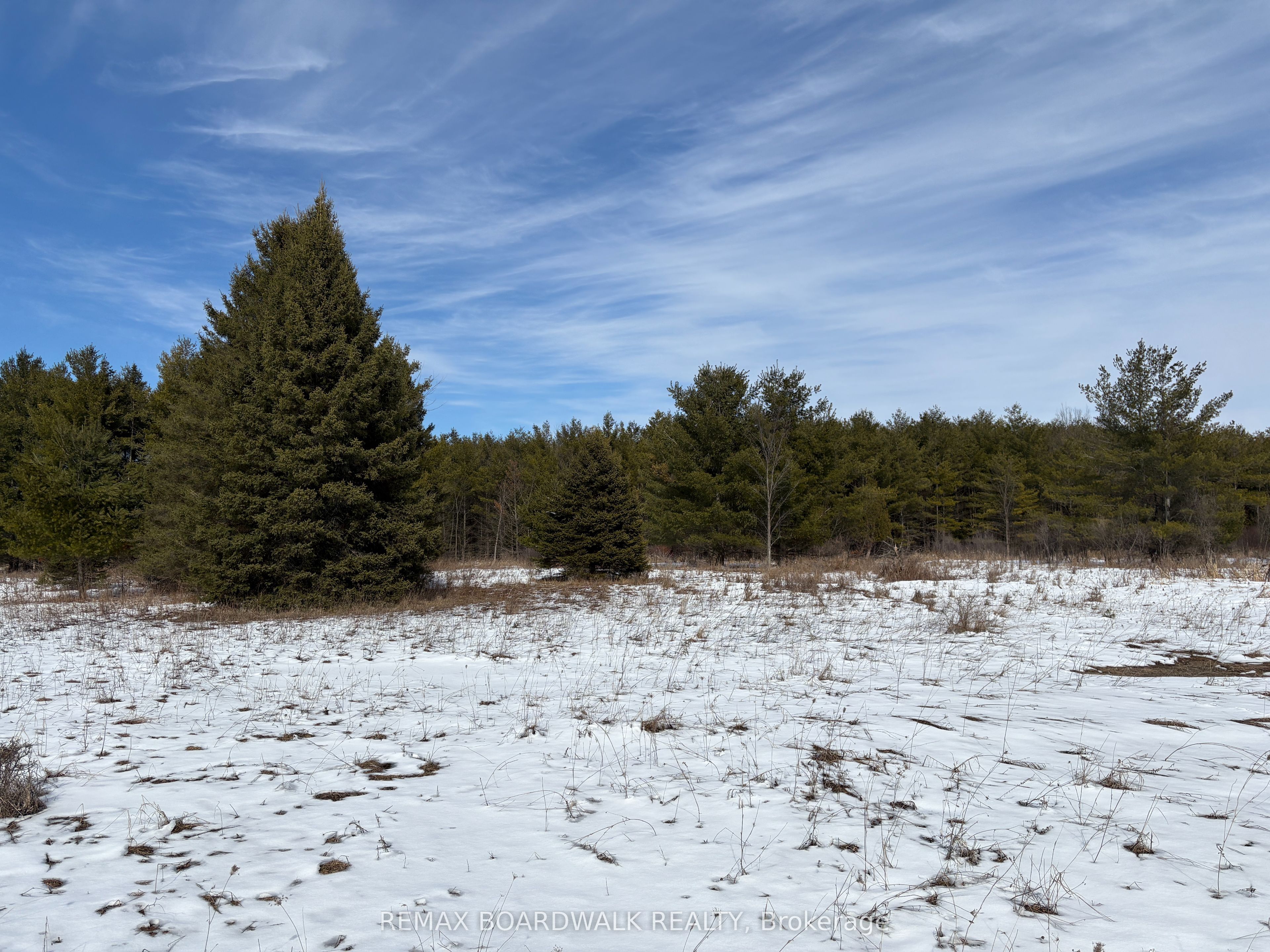 2955 Torwood Drive Property Photo 29