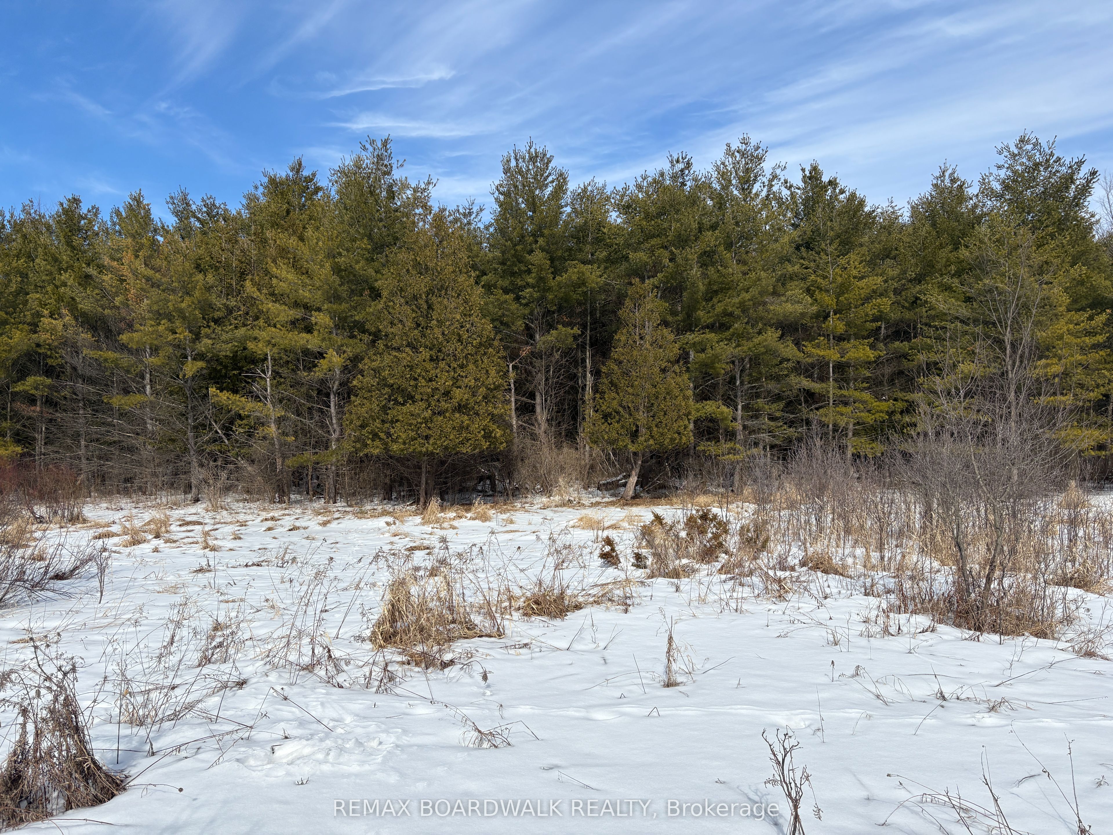 2955 Torwood Drive Property Photo 34