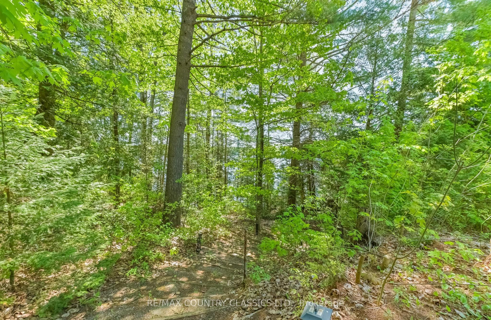 143 Scott Settlement Road Property Photo 14