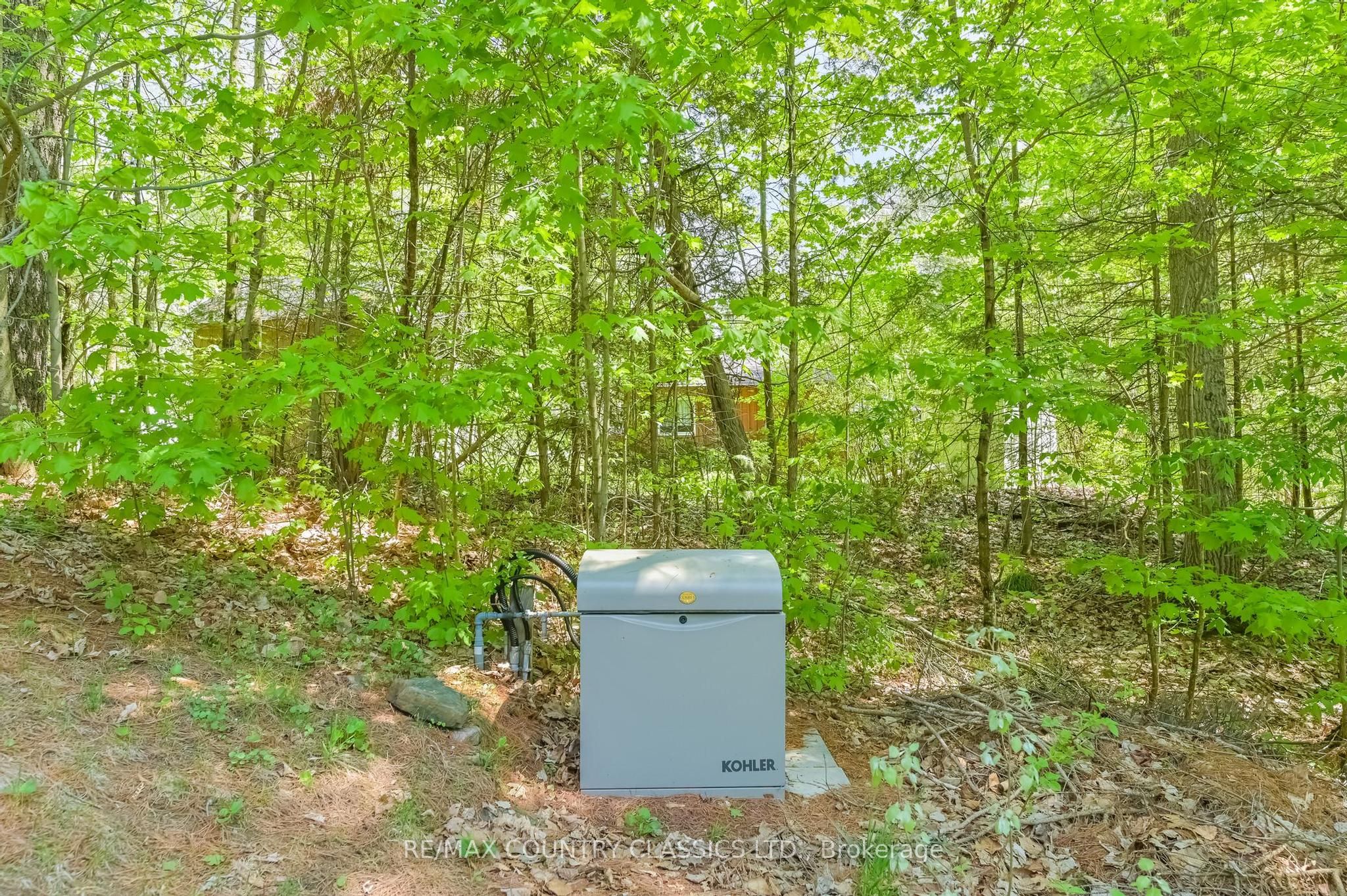 143 Scott Settlement Road Property Photo 15