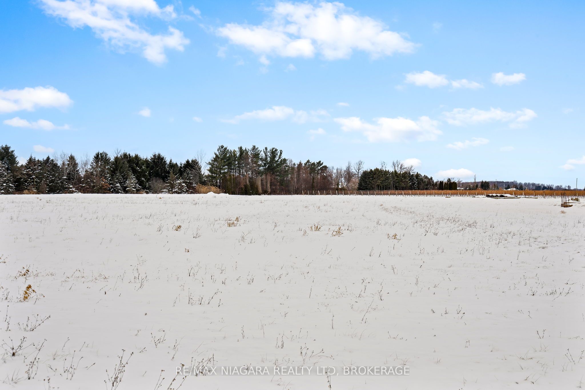 1074 Niagara Stone Road Property Photo 14
