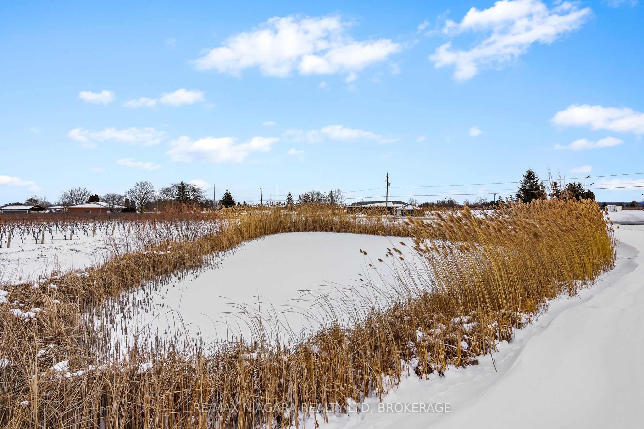 1074 Niagara Stone Road Property Photo 17