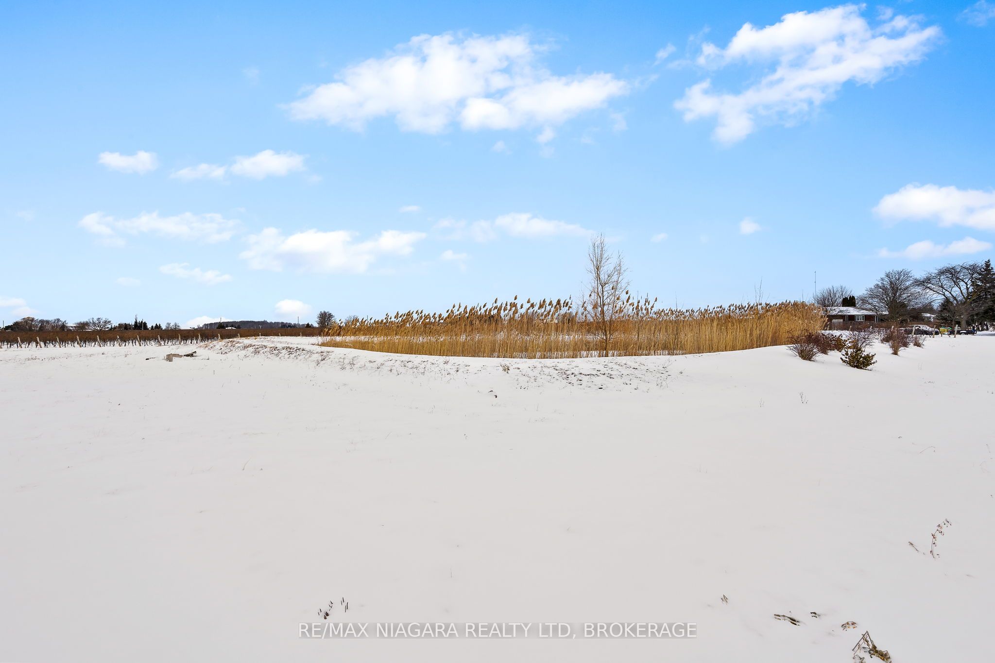 1074 Niagara Stone Road Property Photo 19