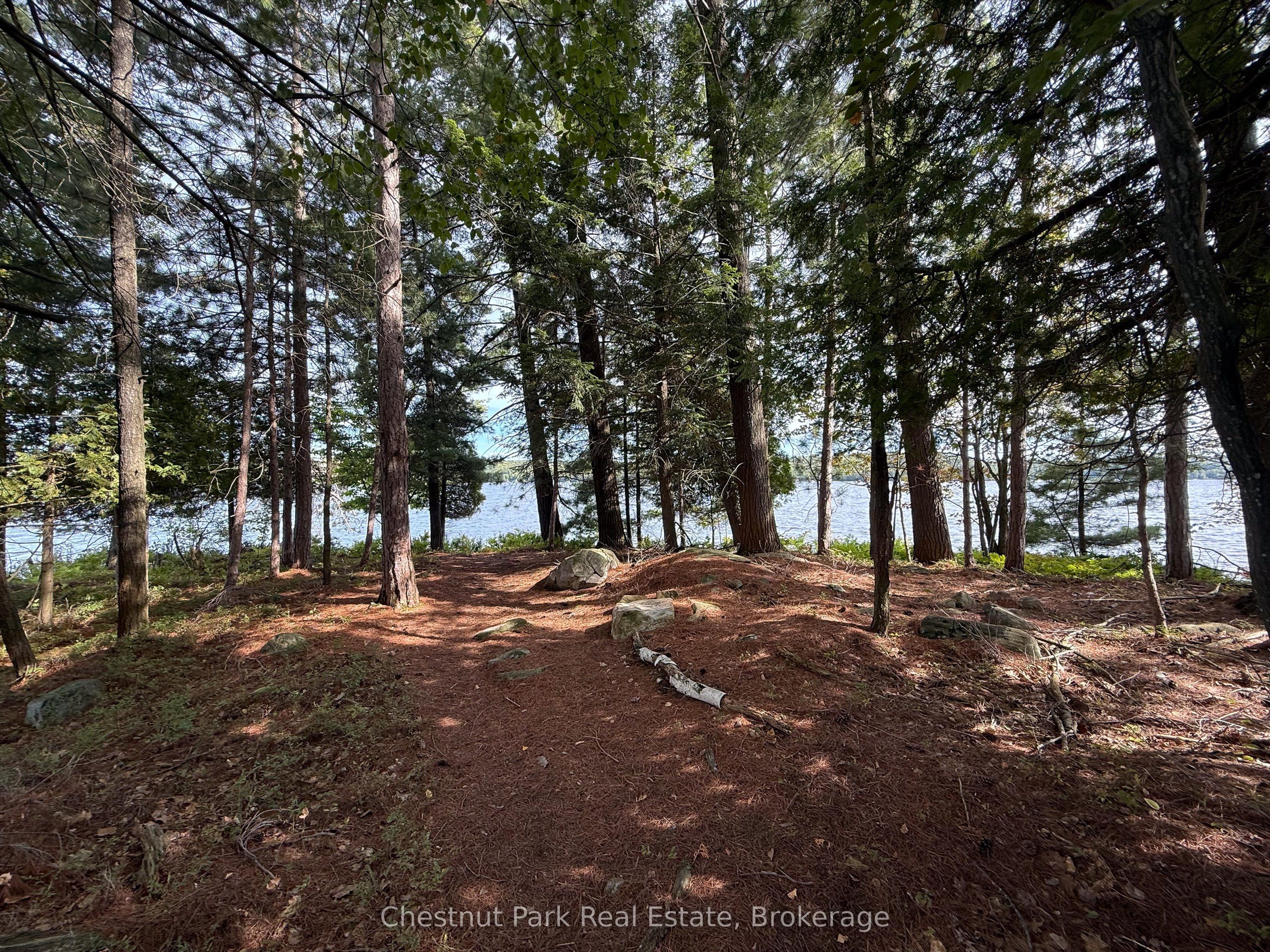 32 Bigwin Island Property Photo 15